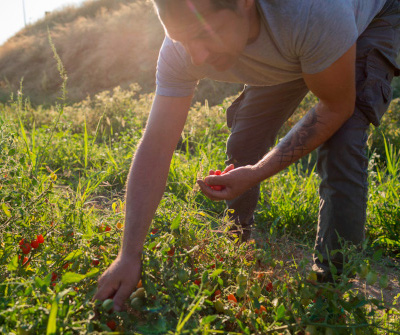 Gruppo Acquisto Solidale