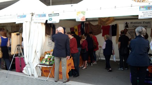 festapopoli festapopoli